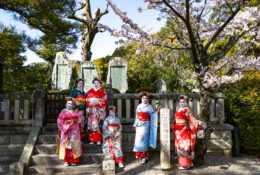 Japan_Sakura_2025 (16/79)